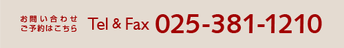 025-381-1210